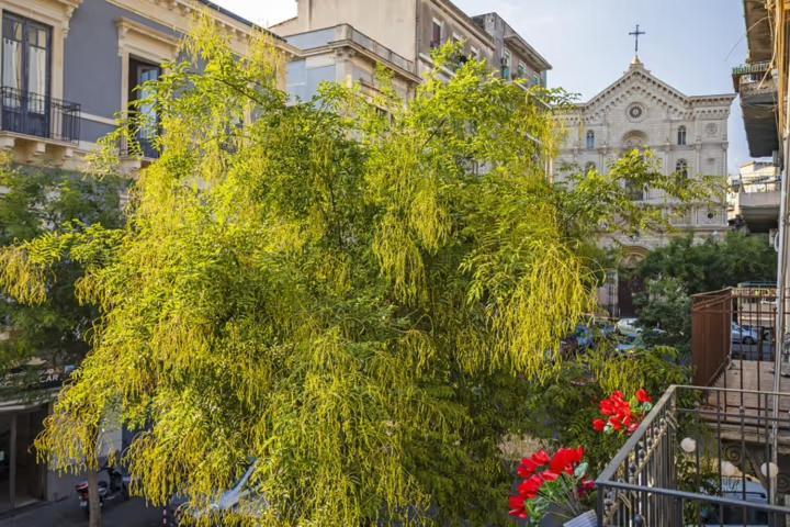 Апартаменты L'Angelo Di Casa Mia Катания Экстерьер фото